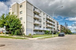 401-316 1 Avenue NE Calgary, AB T2E 0B2