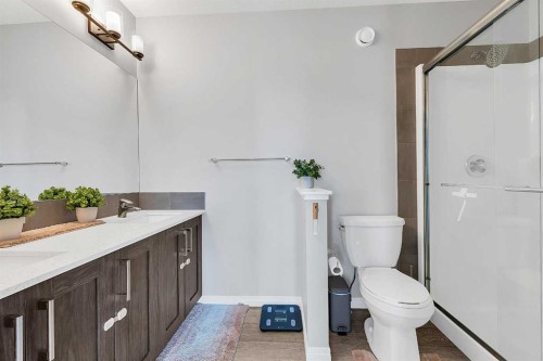 121 Carringvue Park Nw, Calgary, AB - Indoor Photo Showing Bathroom