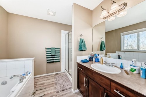 602-800 Yankee Valley Boulevard Se, Airdrie, AB - Indoor Photo Showing Bathroom