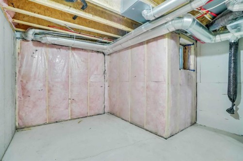 106-116 Saddlestone Heath Ne, Calgary, AB - Indoor Photo Showing Basement