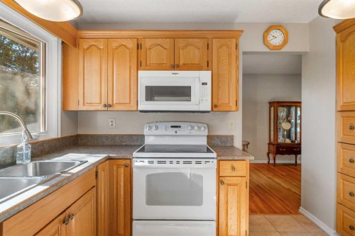 1102 Lake Christina Way Se, Calgary, AB 