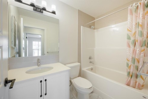 250 Alpine Avenue Sw, Calgary, AB - Indoor Photo Showing Bathroom