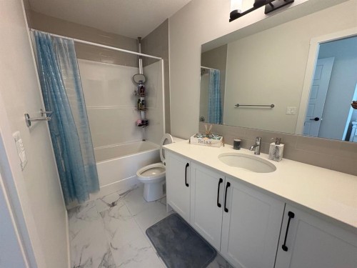 250 Alpine Avenue Sw, Calgary, AB - Indoor Photo Showing Bathroom