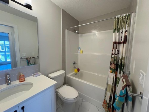 250 Alpine Avenue Sw, Calgary, AB - Indoor Photo Showing Bathroom