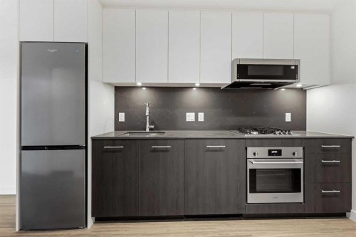 207-730 2 Avenue Sw, Calgary, AB - Indoor Photo Showing Kitchen With Upgraded Kitchen