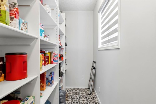 212 Willowmere Close, Chestermere, AB 