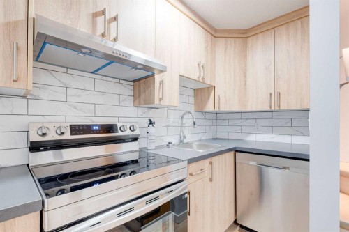 173 Copperfield Gardens Se, Calgary, AB 
