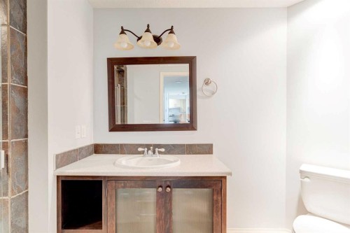 173 Copperfield Gardens Se, Calgary, AB 