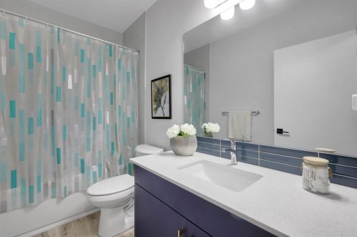 610 Southwinds Close Sw, Airdrie, AB - Indoor Photo Showing Bathroom