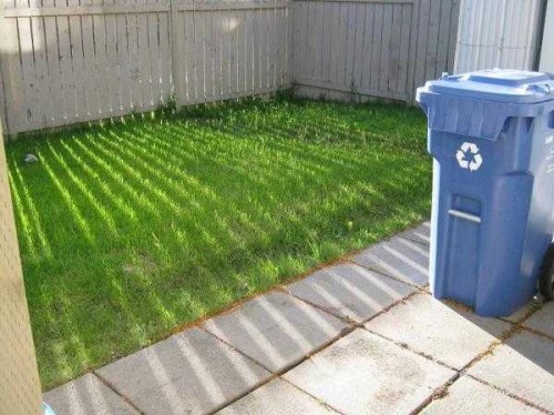 1001 Mckinnon Drive Ne, Calgary, AB 