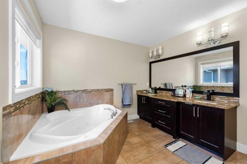 30 Saddlelake View Ne, Calgary, AB 