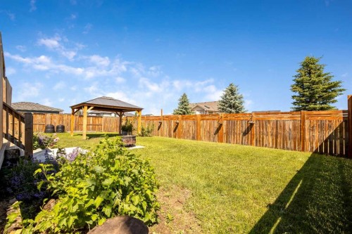 336 Butte Place, Stavely, AB - Outdoor With Backyard