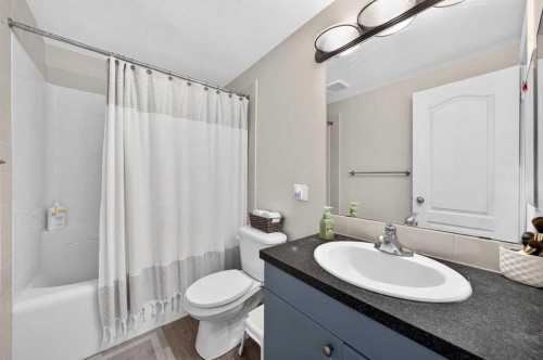 538 Woodbine Boulevard Sw, Calgary, AB - Indoor Photo Showing Bathroom