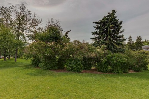 2144 Chilcotin Road Nw, Calgary, AB 