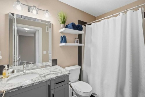 332 Lawthorn Way Se, Airdrie, AB - Indoor Photo Showing Bathroom