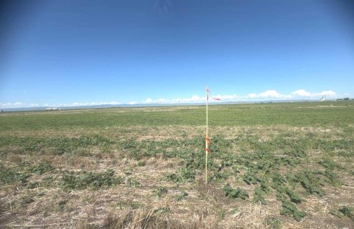 4;27;12;1;Se Highway #2, Claresholm, AB 