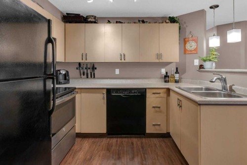 1310-4975 130 Avenue Se, Calgary, AB - Indoor Photo Showing Kitchen With Double Sink