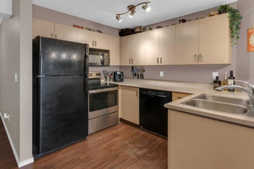 1310-4975 130 Avenue Se, Calgary, AB - Indoor Photo Showing Kitchen With Double Sink