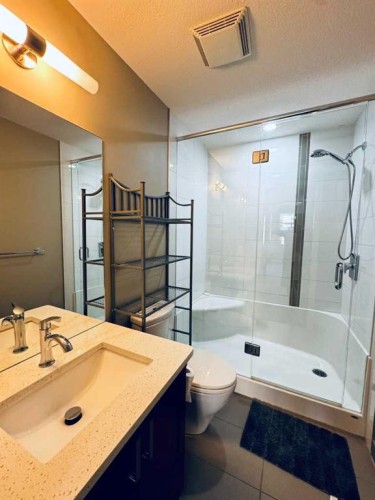 208-16 Auburn Bay Link Se, Calgary, AB 