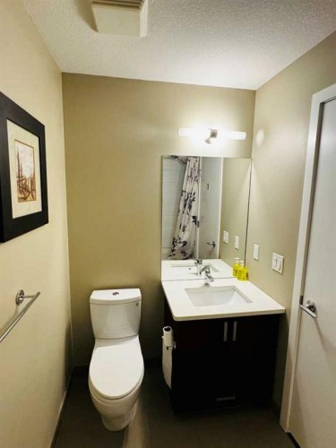 208-16 Auburn Bay Link Se, Calgary, AB 
