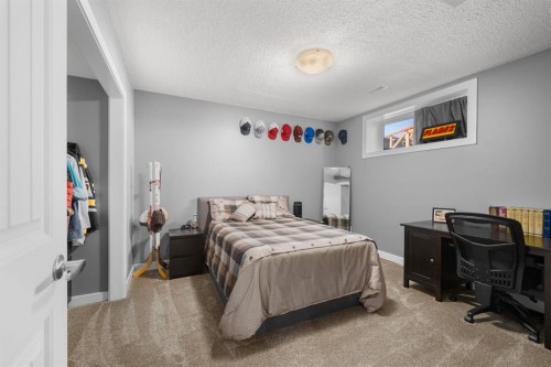 145 Hanson Drive Ne, Langdon, AB 