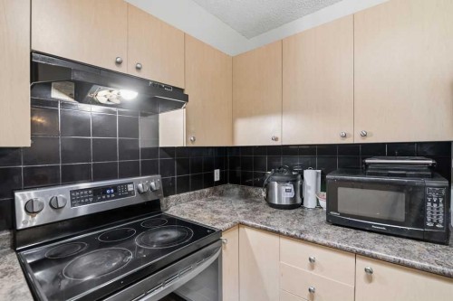 1008-1111 6 Avenue Sw, Calgary, AB - Indoor Photo Showing Kitchen