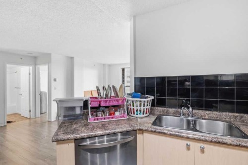 1008-1111 6 Avenue Sw, Calgary, AB - Indoor Photo Showing Kitchen With Double Sink