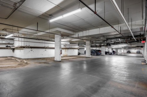 3903-1122 3 Street Se, Calgary, AB - Indoor Photo Showing Garage