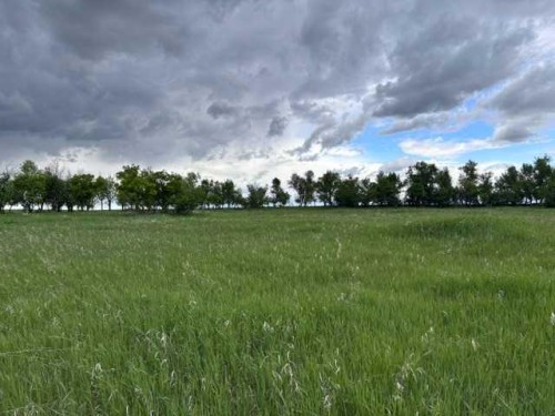 164, Rural Vulcan County, AB 