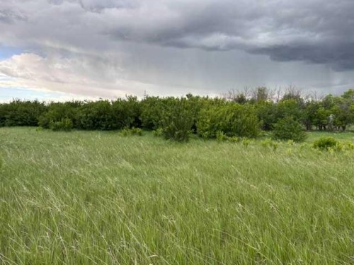 164, Rural Vulcan County, AB 