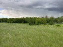 164, Rural Vulcan County, AB 