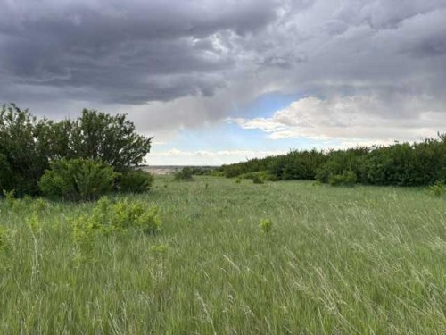 164, Rural Vulcan County, AB 