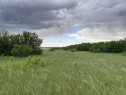 164, Rural Vulcan County, AB 