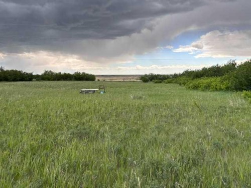 164, Rural Vulcan County, AB 