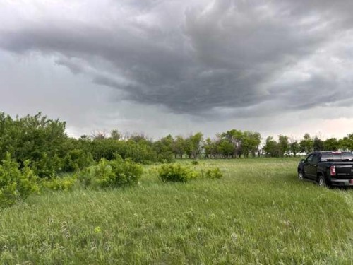 164, Rural Vulcan County, AB 