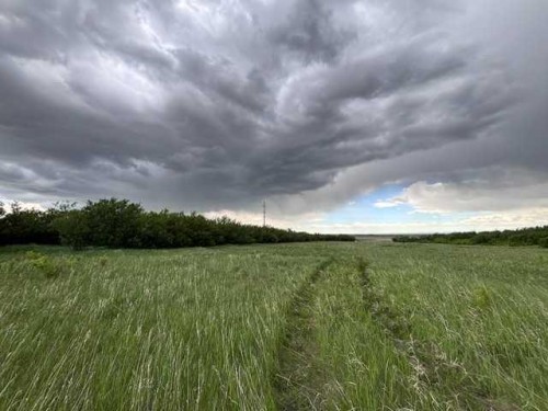 164, Rural Vulcan County, AB 
