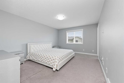18 Skyview Shores Place Ne, Calgary, AB 