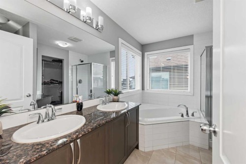 18 Skyview Shores Place Ne, Calgary, AB 