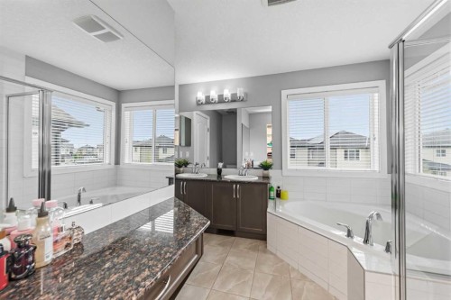18 Skyview Shores Place Ne, Calgary, AB 