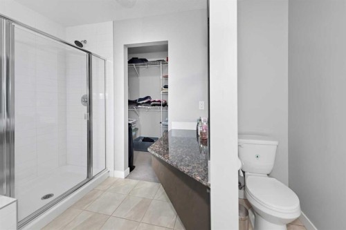 18 Skyview Shores Place Ne, Calgary, AB 