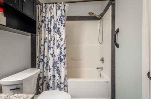 1310 Auburn Bay Square Se, Calgary, AB - Indoor Photo Showing Bathroom