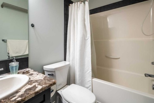 1310 Auburn Bay Square Se, Calgary, AB - Indoor Photo Showing Bathroom