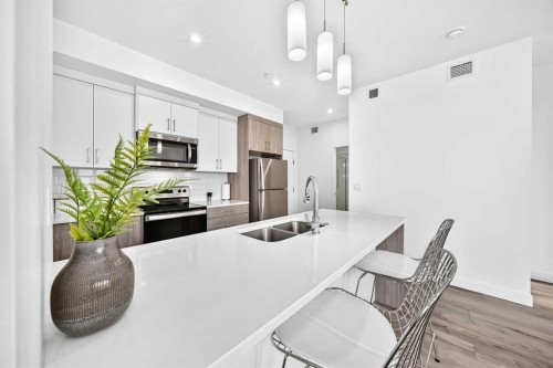 316-205 Spring Creek Common Sw, Calgary, AB - Indoor Photo Showing Kitchen With Stainless Steel Kitchen With Double Sink With Upgraded Kitchen