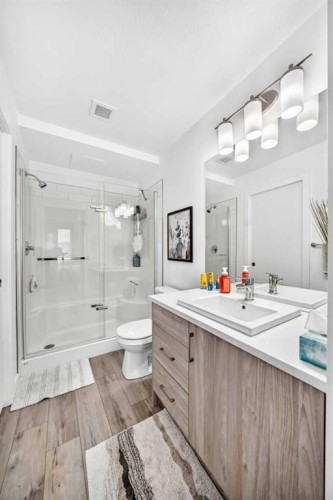 316-205 Spring Creek Common Sw, Calgary, AB - Indoor Photo Showing Bathroom