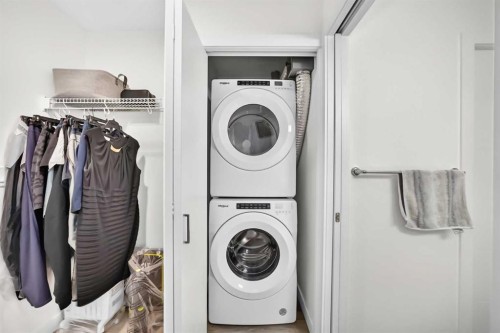 316-205 Spring Creek Common Sw, Calgary, AB - Indoor Photo Showing Laundry Room