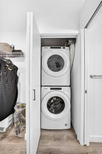 316-205 Spring Creek Common Sw, Calgary, AB - Indoor Photo Showing Laundry Room