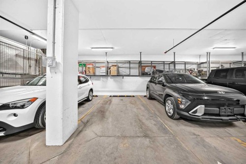 316-205 Spring Creek Common Sw, Calgary, AB - Indoor Photo Showing Garage