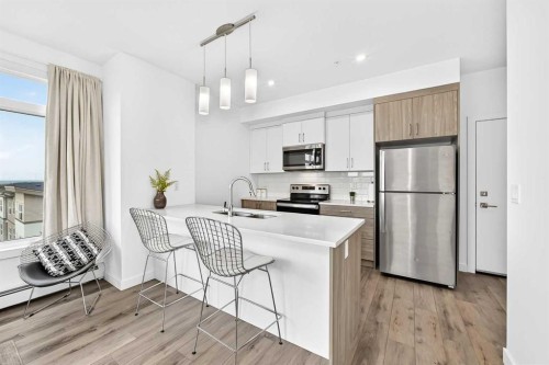 316-205 Spring Creek Common Sw, Calgary, AB - Indoor Photo Showing Kitchen With Stainless Steel Kitchen With Upgraded Kitchen