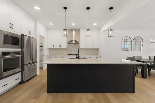 50 Royston Terrace Nw, Calgary, AB - Indoor Photo Showing Kitchen With Stainless Steel Kitchen With Upgraded Kitchen