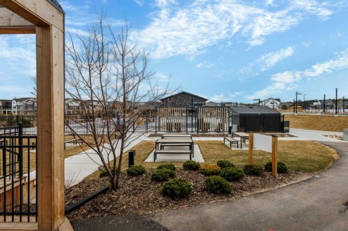 50 Royston Terrace Nw, Calgary, AB - Outdoor